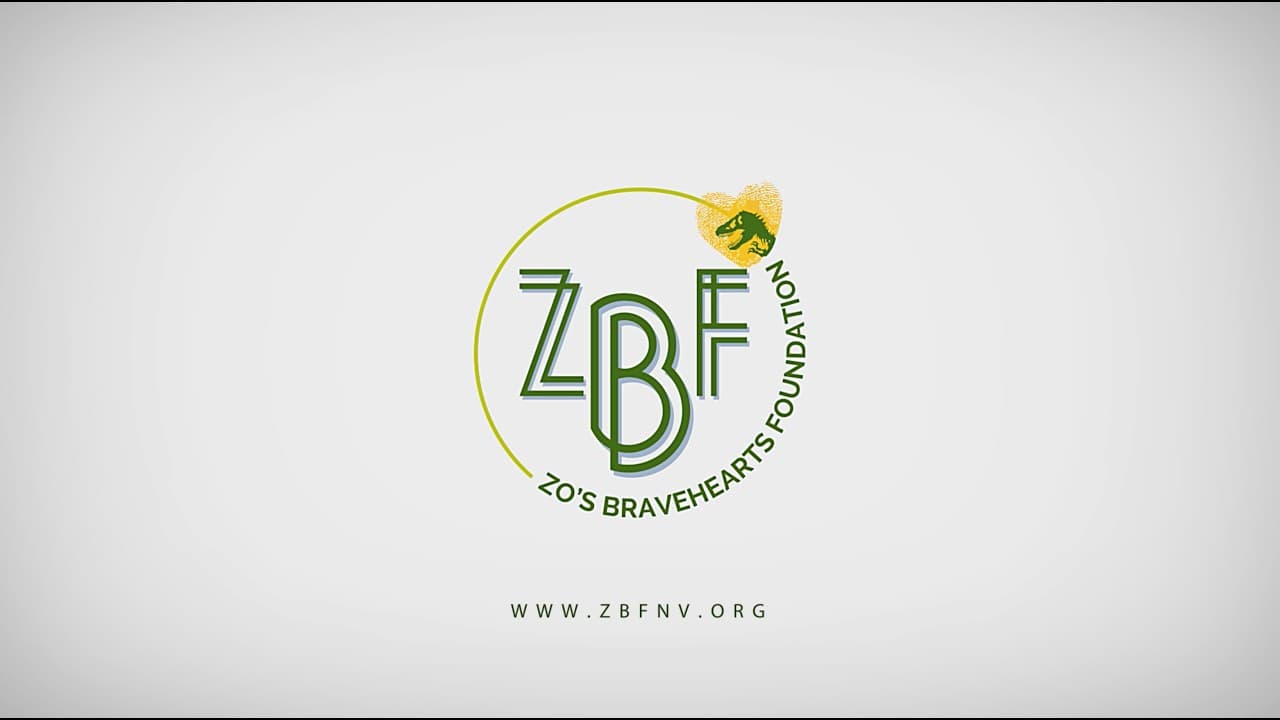 ZBF: Foundation of Hope